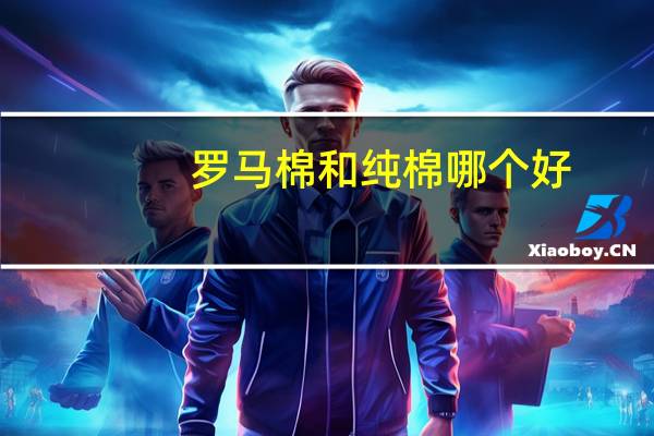 罗马棉和纯棉哪个好