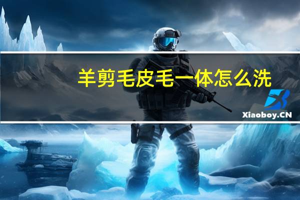 羊剪毛皮毛一体怎么洗