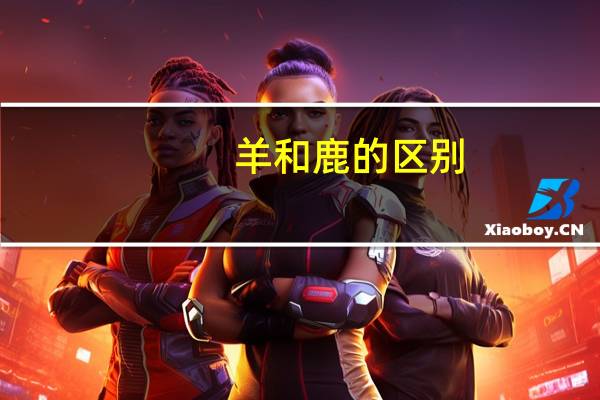 羊和鹿的区别