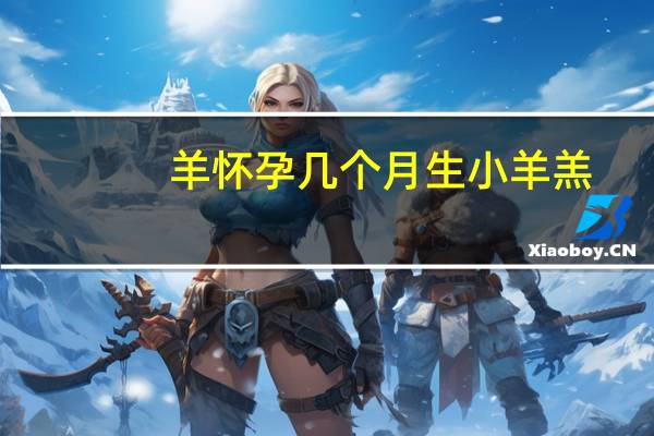 羊怀孕几个月生小羊羔