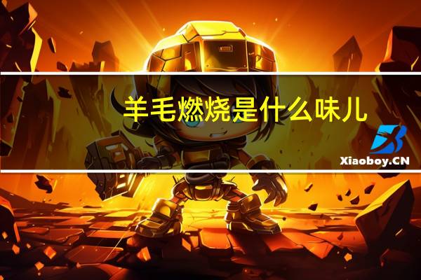 羊毛燃烧是什么味儿