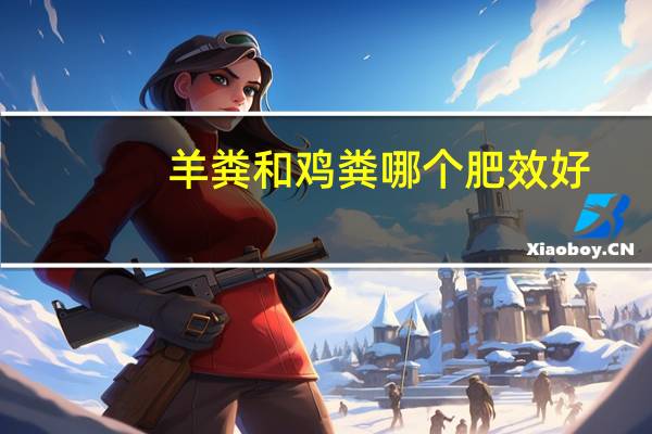 羊粪和鸡粪哪个肥效好