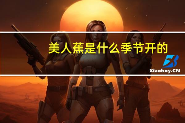 美人蕉是什么季节开的