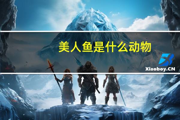 美人鱼是什么动物