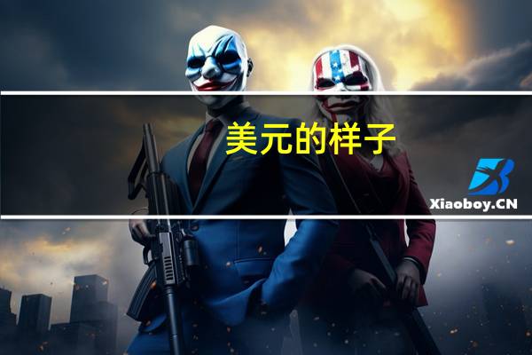 美元的样子