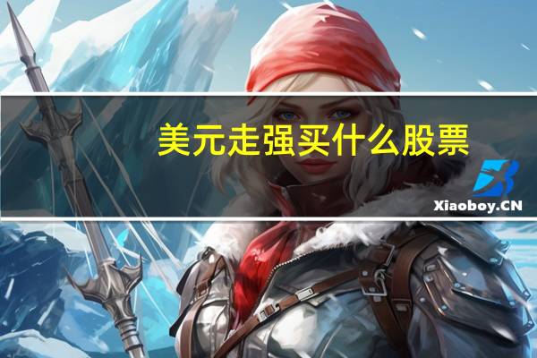 美元走强买什么股票