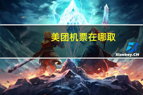 美团机票在哪取