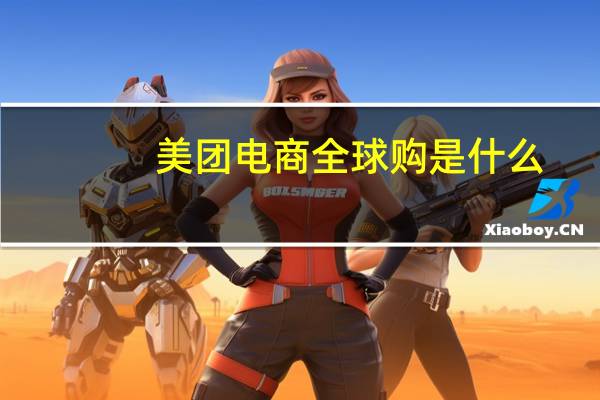 美团电商全球购是什么