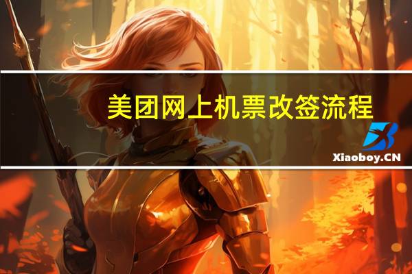 美团网上机票改签流程