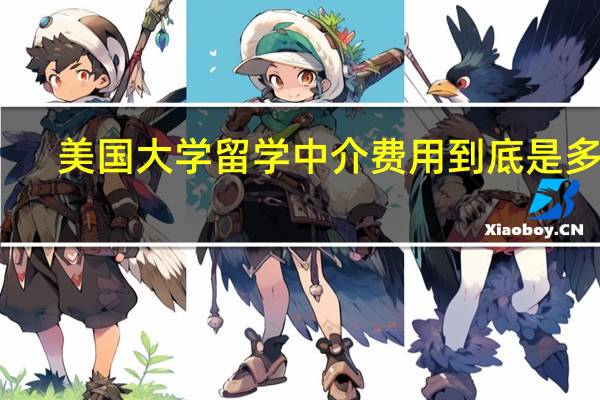 美国大学留学中介费用到底是多少