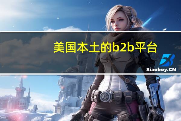 美国本土的b2b平台