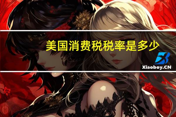 美国消费税税率是多少