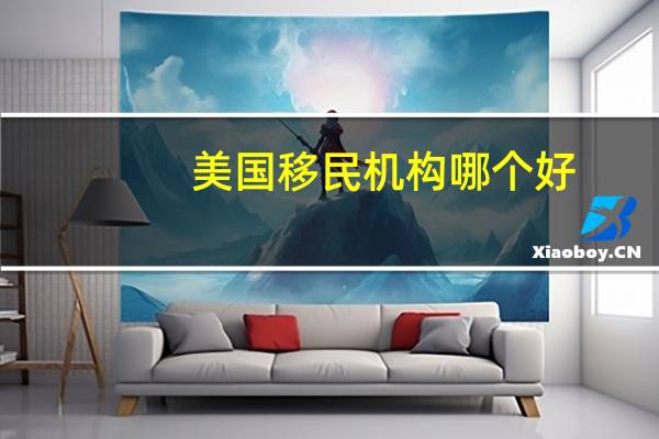 美国移民机构哪个好