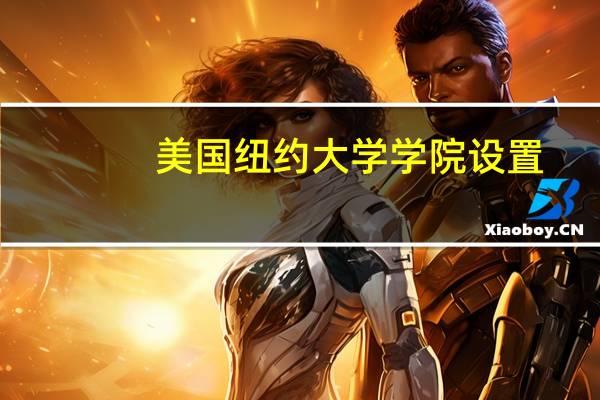 美国纽约大学学院设置