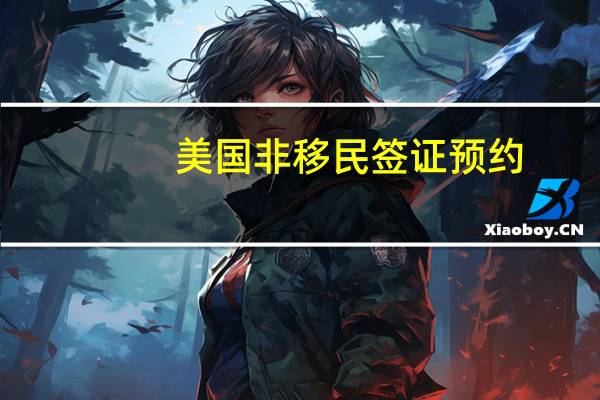 美国非移民签证预约