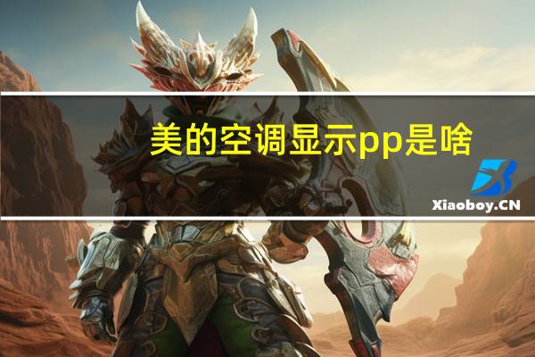 美的空调显示pp是啥
