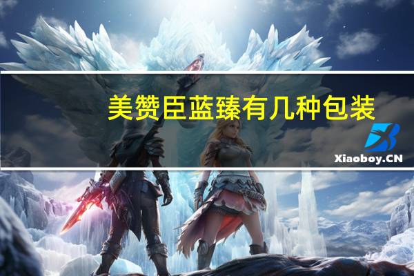 美赞臣蓝臻有几种包装