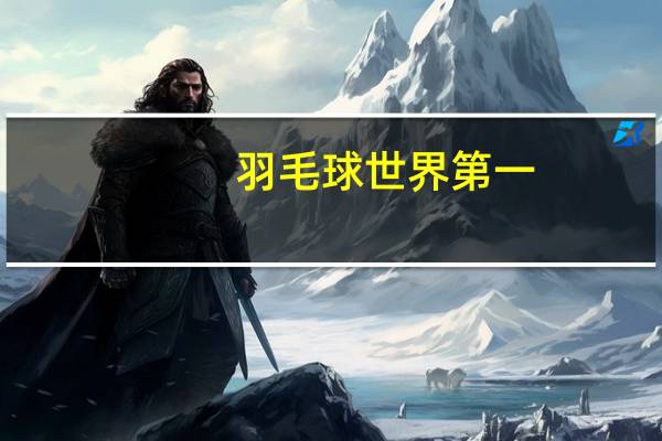 羽毛球世界第一