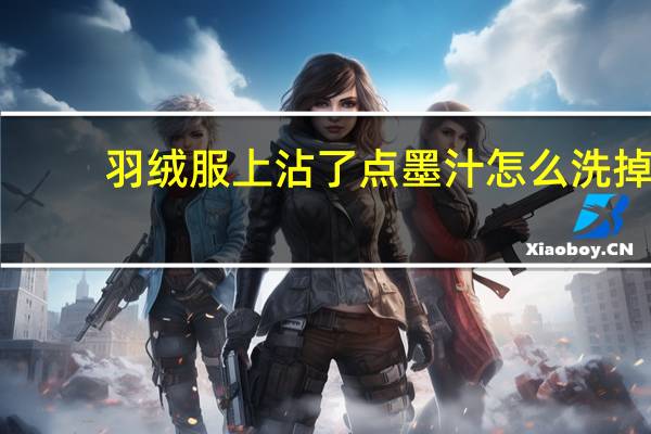 羽绒服上沾了点墨汁怎么洗掉