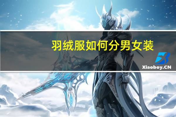 羽绒服如何分男女装