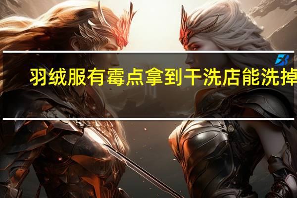羽绒服有霉点拿到干洗店能洗掉吗