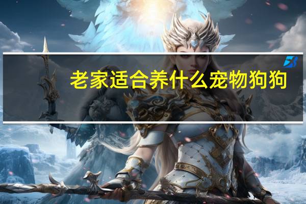 老家适合养什么宠物狗狗