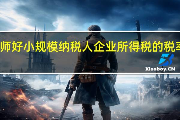 老师好小规模纳税人企业所得税的税率是多少