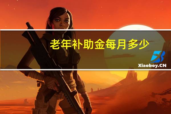 老年补助金每月多少