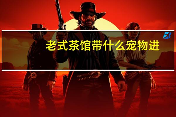 老式茶馆带什么宠物进