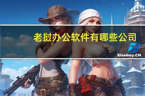 老挝办公软件有哪些公司