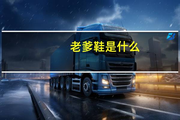 老爹鞋是什么