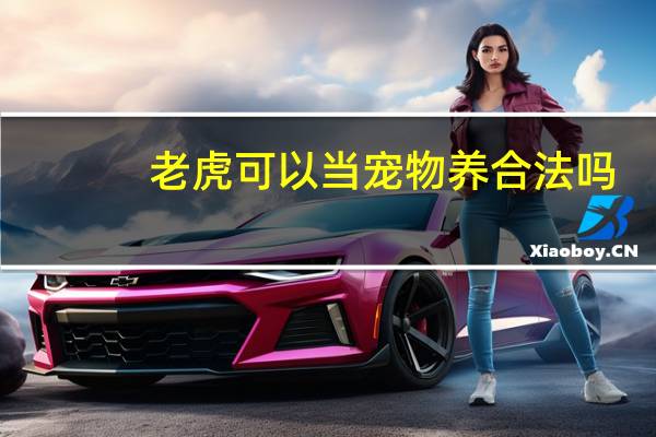 老虎可以当宠物养合法吗