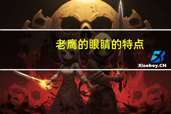 老鹰的眼睛的特点