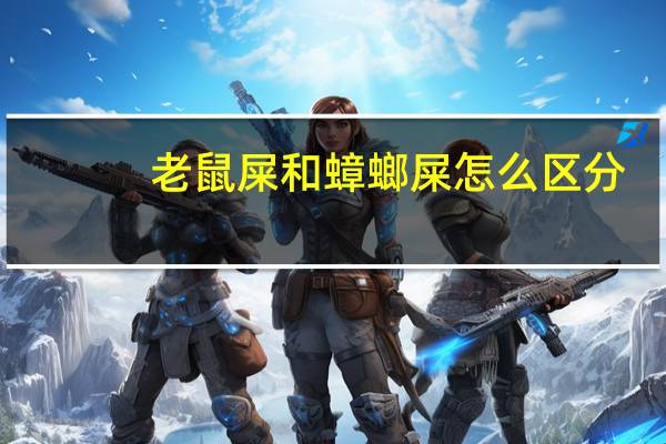 老鼠屎和蟑螂屎怎么区分