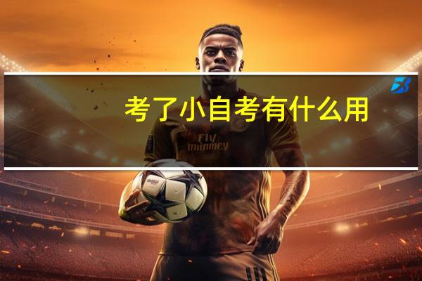 考了小自考有什么用