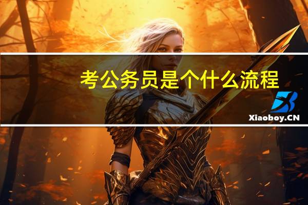 考公务员是个什么流程
