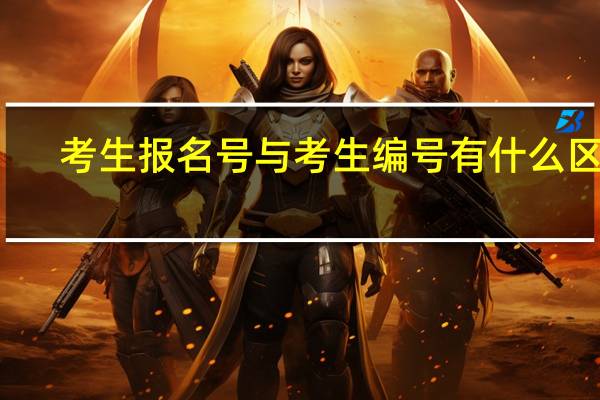考生报名号与考生编号有什么区别