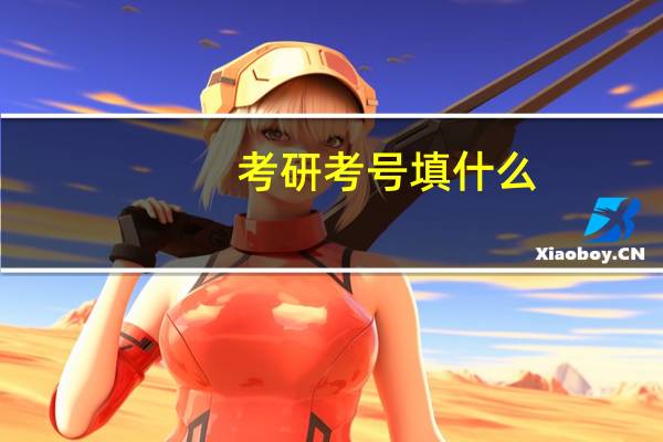 考研考号填什么