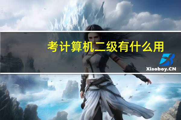 考计算机二级有什么用