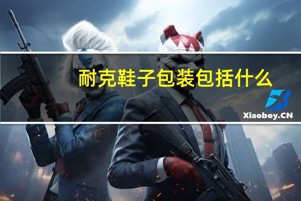 耐克鞋子包装包括什么