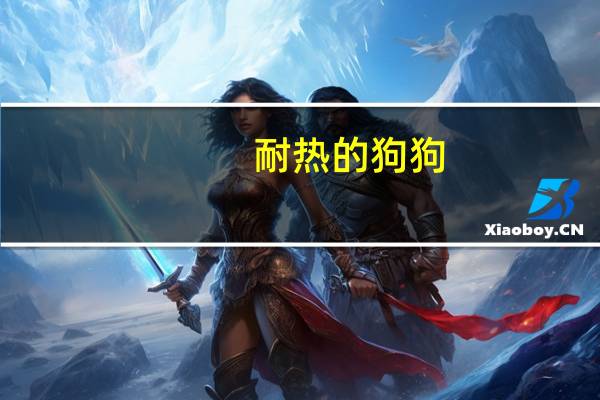 耐热的狗狗