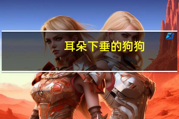 耳朵下垂的狗狗