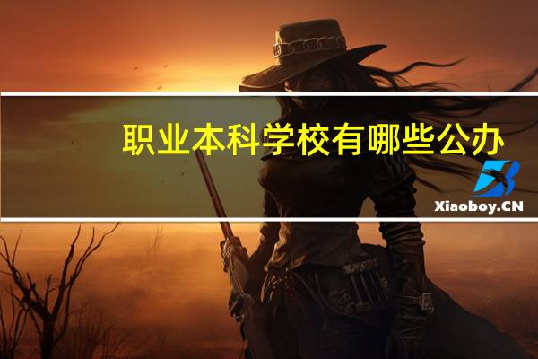 职业本科学校有哪些公办