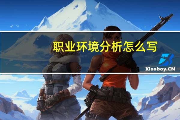 职业环境分析怎么写