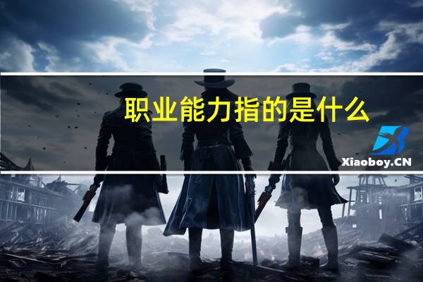 职业能力指的是什么