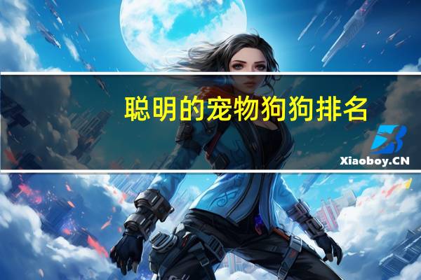 聪明的宠物狗狗排名