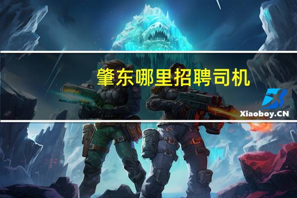 肇东哪里招聘司机