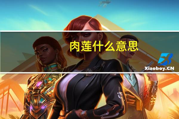 肉莲什么意思