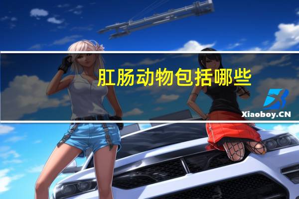 肛肠动物包括哪些