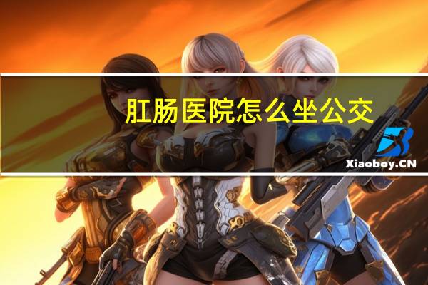肛肠医院怎么坐公交